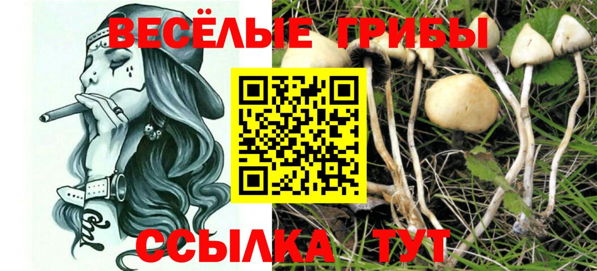 Донецк  Псилоцибиновые грибы прущие грибы  Вход с VPN 