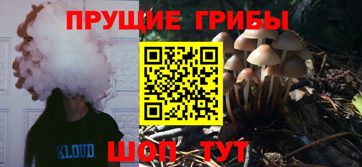 Галлюциногенные грибы Psilocybine cubensis Донецк